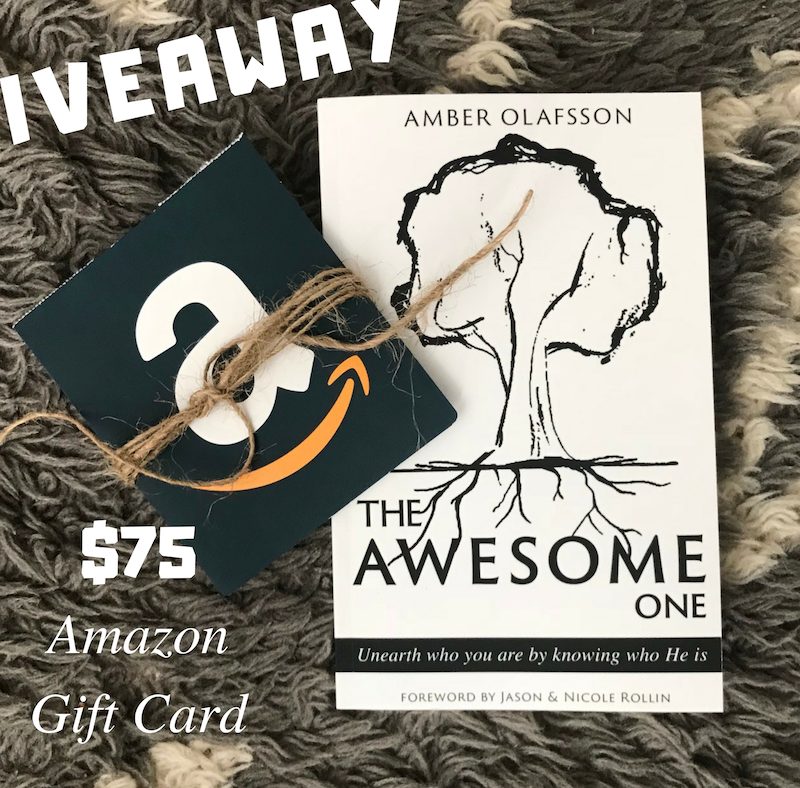 THE AWESOME ONE Release and Giveaway