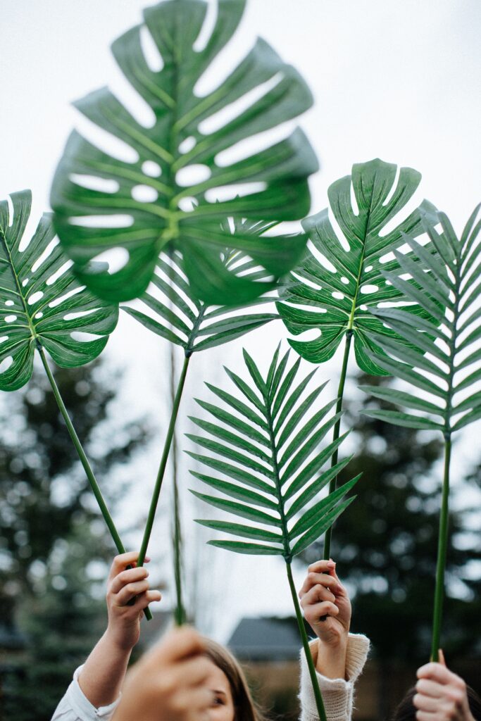 four people holding up different types of palm leaves in their hands