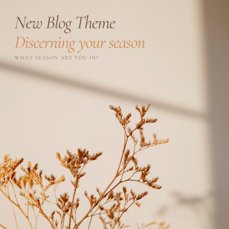 Discerning Your Season Blog Theme